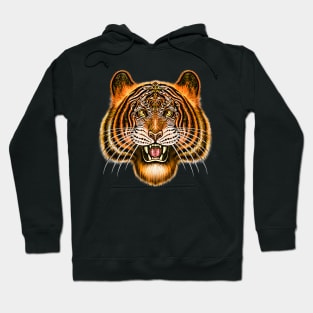 Tiger Siberian Tiger Bengal tiger big cat Hoodie